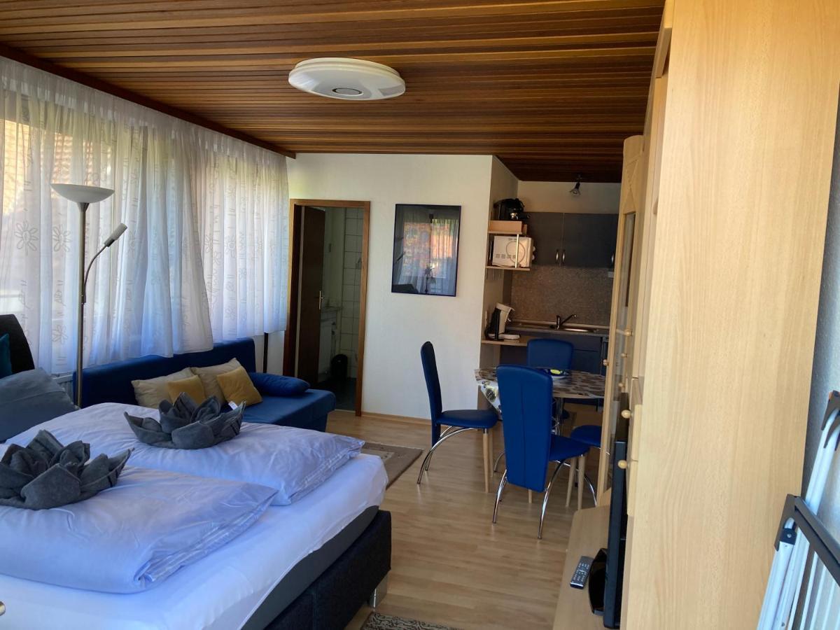 Апартаменты Haus Sonne Тодтмос Экстерьер фото