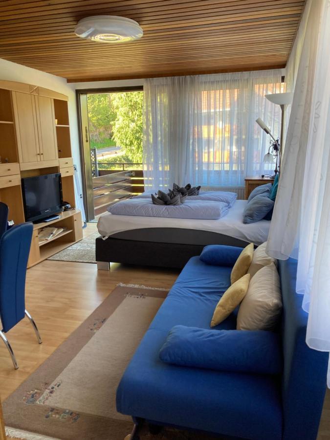 Апартаменты Haus Sonne Тодтмос Экстерьер фото